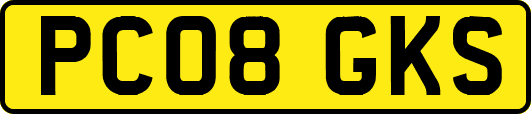 PC08GKS