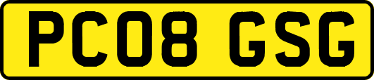 PC08GSG