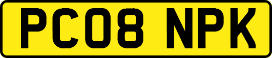 PC08NPK