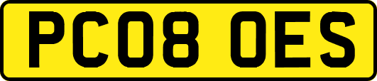 PC08OES