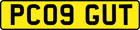 PC09GUT