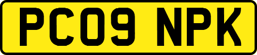 PC09NPK
