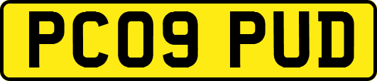 PC09PUD
