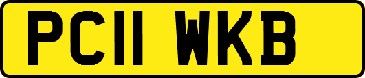 PC11WKB