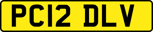 PC12DLV