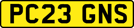 PC23GNS