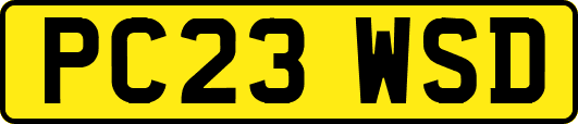 PC23WSD