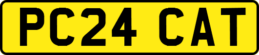 PC24CAT