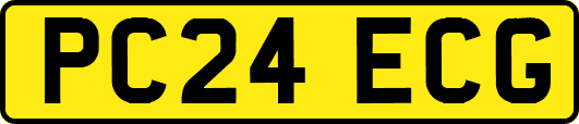 PC24ECG