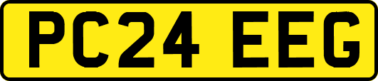 PC24EEG