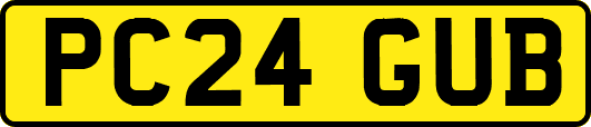 PC24GUB