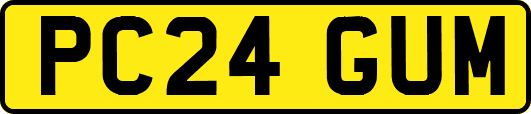 PC24GUM