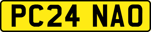 PC24NAO