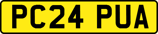 PC24PUA