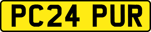 PC24PUR