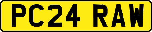 PC24RAW