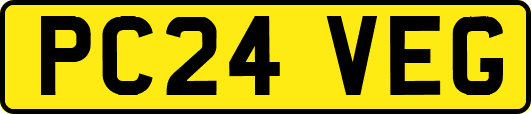 PC24VEG