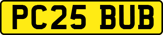 PC25BUB