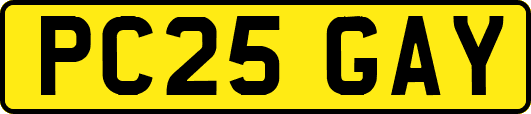 PC25GAY
