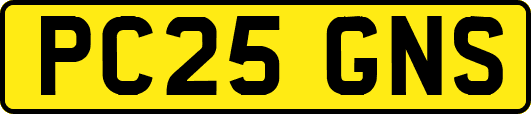 PC25GNS