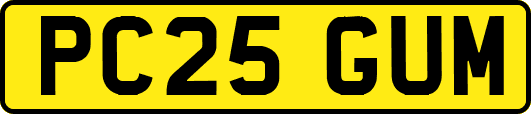 PC25GUM
