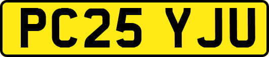 PC25YJU