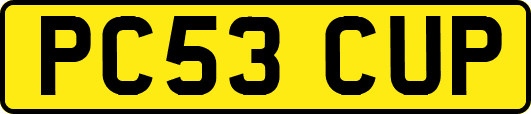 PC53CUP