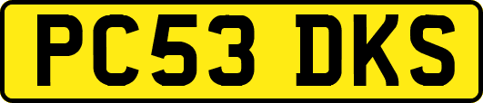 PC53DKS