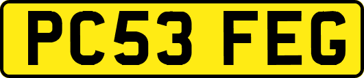 PC53FEG