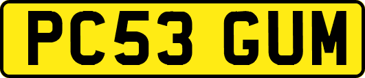 PC53GUM