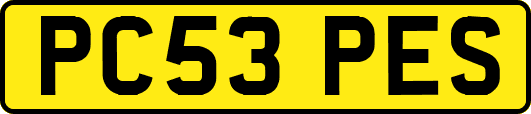 PC53PES