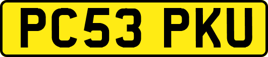 PC53PKU