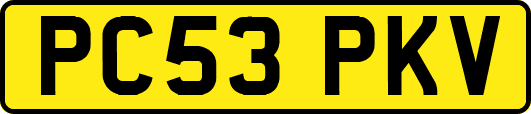 PC53PKV