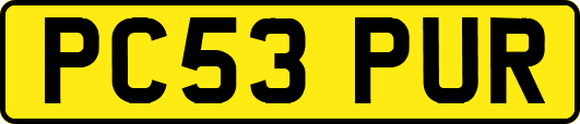 PC53PUR
