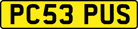 PC53PUS