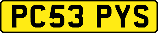 PC53PYS