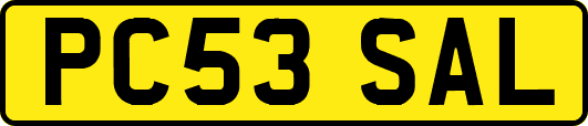PC53SAL