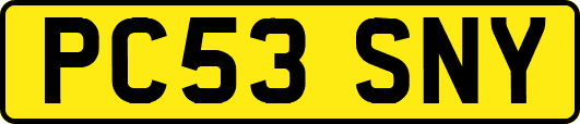 PC53SNY