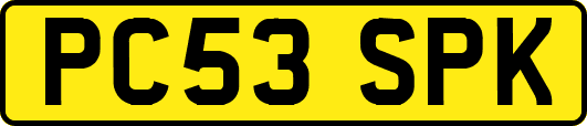 PC53SPK