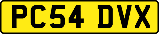 PC54DVX