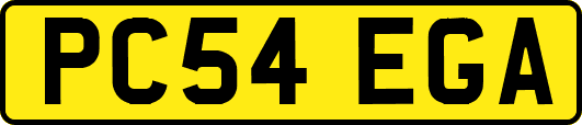PC54EGA
