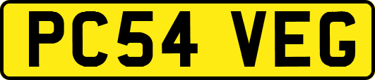 PC54VEG