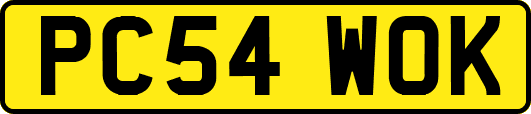 PC54WOK