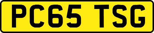 PC65TSG