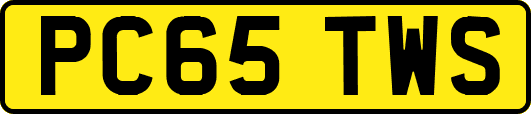 PC65TWS
