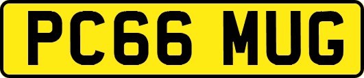 PC66MUG