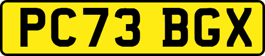 PC73BGX