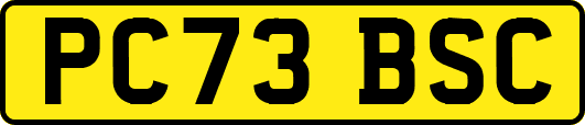 PC73BSC