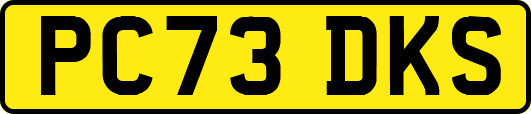 PC73DKS