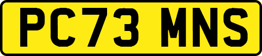 PC73MNS